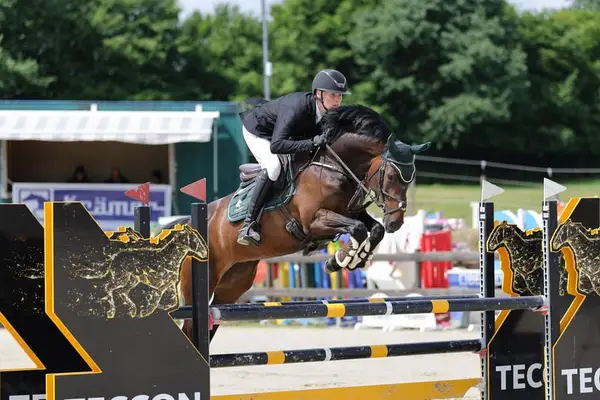Fille magnifique de Diarado - Jeunes chevaux de saut L victorieuse