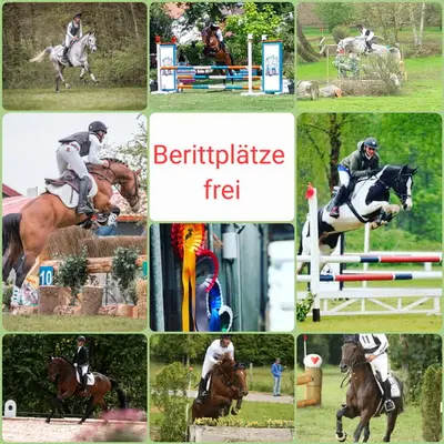 Berittplatz frei