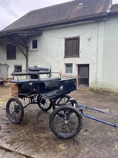 Kutsche, Ein- und Zweipänner