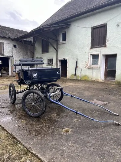 Kutsche, Ein- und Zweipänner
