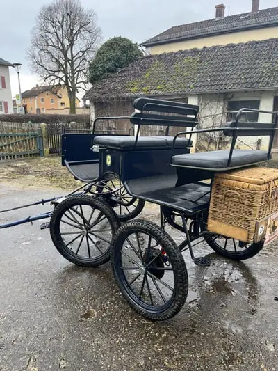 Kutsche, Ein- und Zweipänner