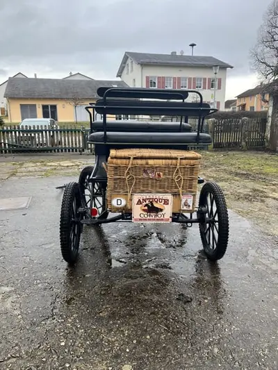 Kutsche, Ein- und Zweipänner