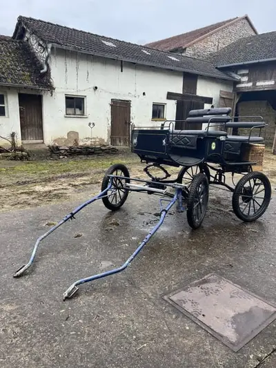 Kutsche, Ein- und Zweipänner