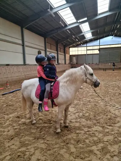 Kindergeburtstag auf dem Reiterhof