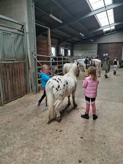 Kindergeburtstag auf dem Reiterhof