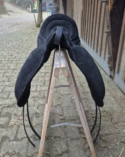 Signum Pad Dressage in Schwarz, größe L