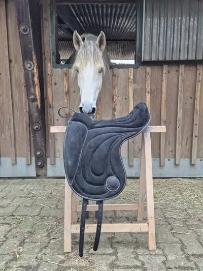 Signum Pad Dressage in Schwarz, größe L