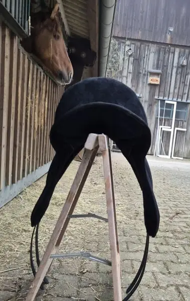 Signum Pad Dressage in Schwarz, größe L