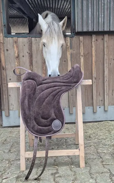 Signum Pad Dressage in Schoko, größe L zu verkaufen