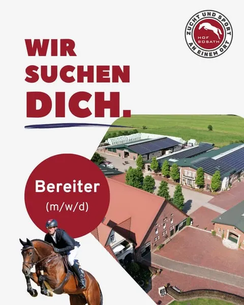Team Sosath sucht Bereiter/in zur Verstärkung