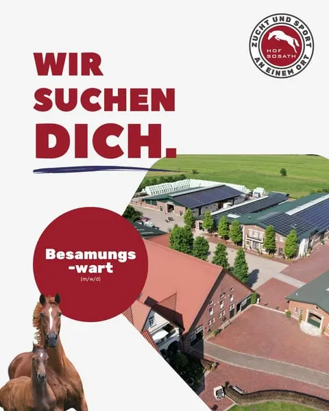 Besamungswarte aufgepasst: Team Sosath sucht Unterstützung für die Hengststation