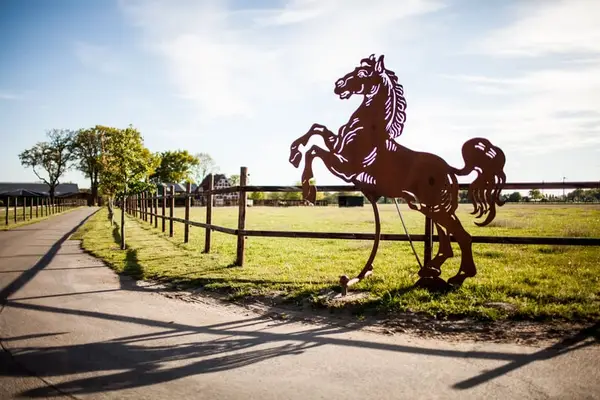 Pferdeboxen frei auf moderner Reitanlage mit Reithalle