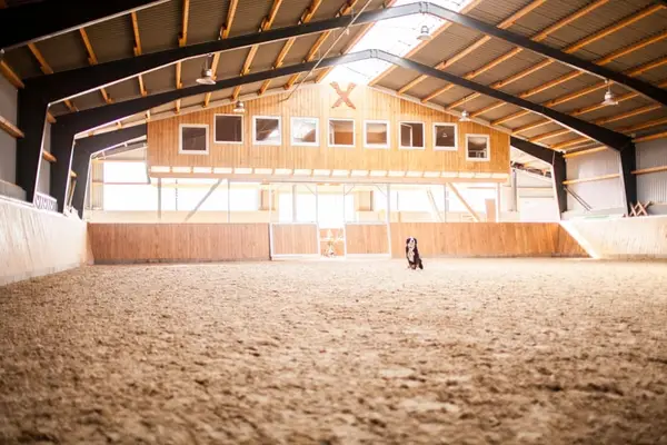 Pferdeboxen frei auf moderner Reitanlage mit Reithalle