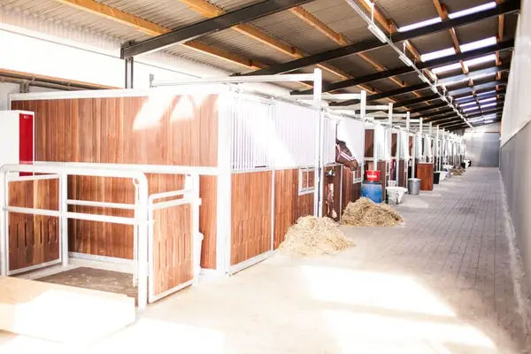 Pferdeboxen frei auf moderner Reitanlage mit Reithalle