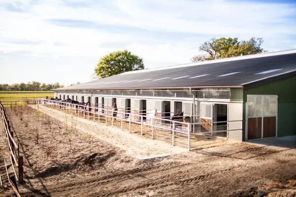 Pferdeboxen frei auf moderner Reitanlage mit Reithalle