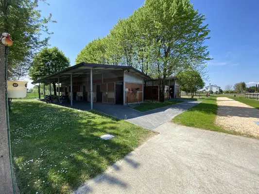 Einstellerplatz in hochklassigem Sportstall frei