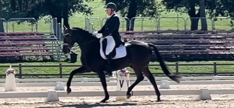 Reiten lernen auf höchstem Niveau – dort, wo andere Urlaub machen