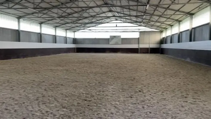 Reiten lernen auf höchstem Niveau – dort, wo andere Urlaub machen