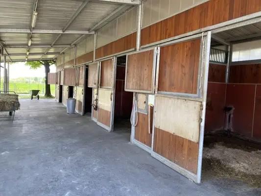 Reiten lernen auf höchstem Niveau – dort, wo andere Urlaub machen