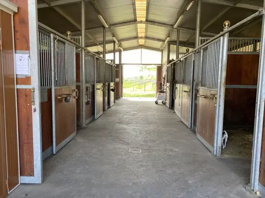 Reiten lernen auf höchstem Niveau – dort, wo andere Urlaub machen
