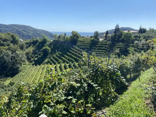 Reiturlaub in Bella Italia🐴🇮🇹