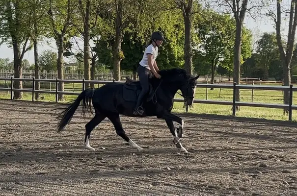 Reiturlaub in Bella Italia🐴🇮🇹