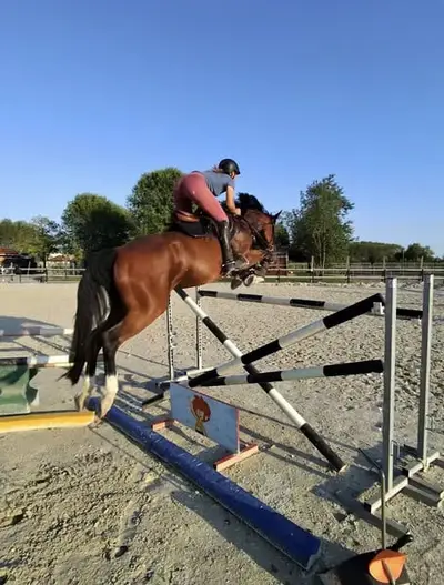 Reiturlaub in Bella Italia🐴🇮🇹