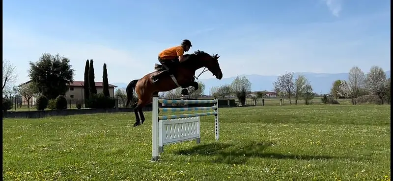 🇮🇹Reiten lernen auf höchstem Niveau – dort, wo andere Urlaub machen🇮🇹
