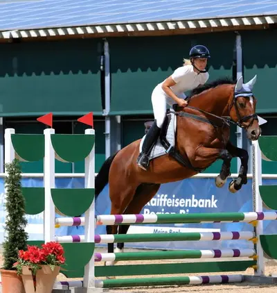 Maestro para doma y salto.
