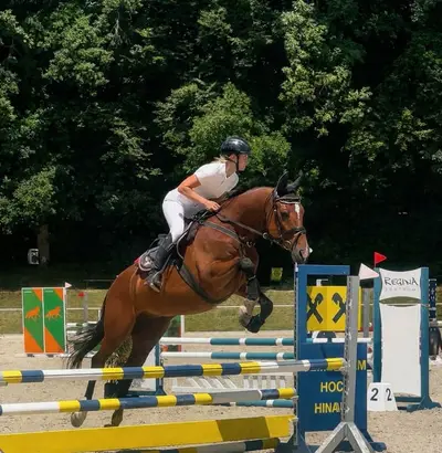 Lehrmeister für Dressur und Springen .