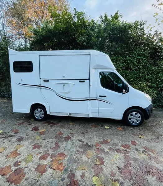 Pferdetransporteuer Renault Ameline