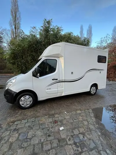 Pferdetransporteuer Renault Ameline