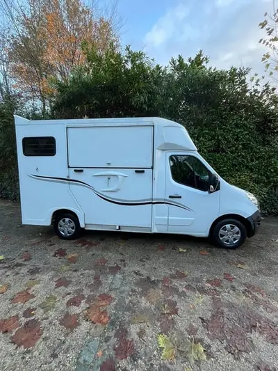 Pferdetransporteuer Renault Ameline