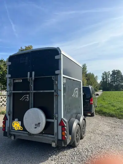 Pferdeanhänger Ifor Williams HB506