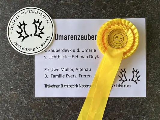 Vielseitigkeitsaspirantin für Sport und Zucht