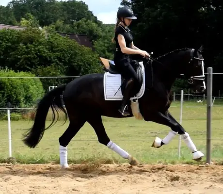Ein Kumpel fürs Leben mit sportlichen Ambitionen***