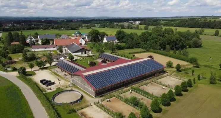 Große Paddockboxen auf moderner Reitanlage
