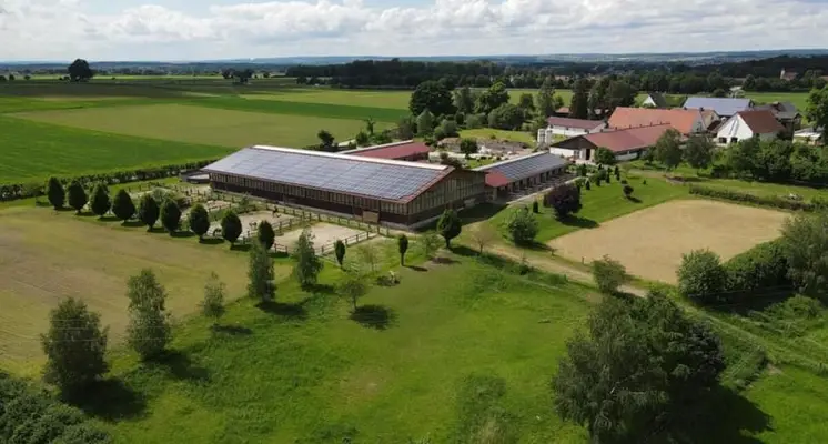 Große Paddockboxen auf moderner Reitanlage