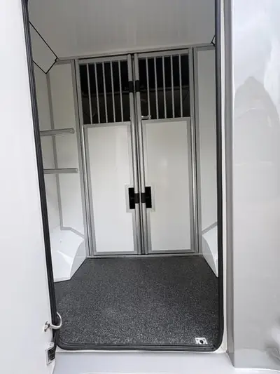 Toller 2 Pferdetransporter