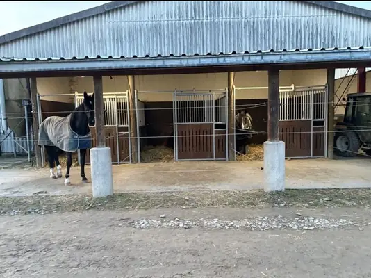 Box exterior con paddock cubierto