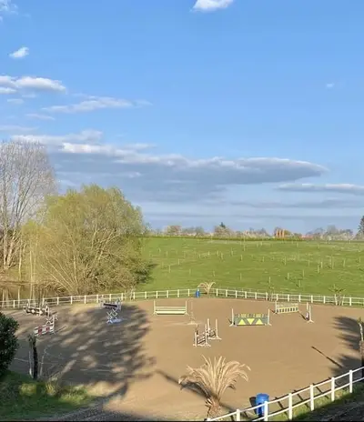 Außenbox mit überdachtem Paddock