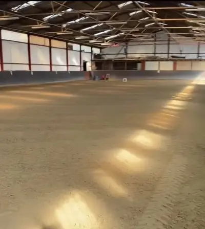 Außenbox mit überdachtem Paddock