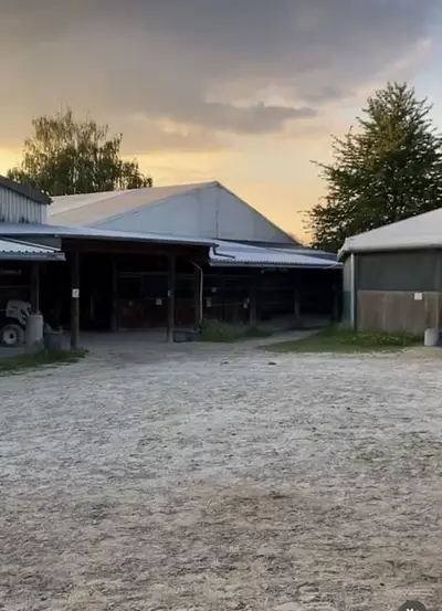 XXL Box mit Fenster