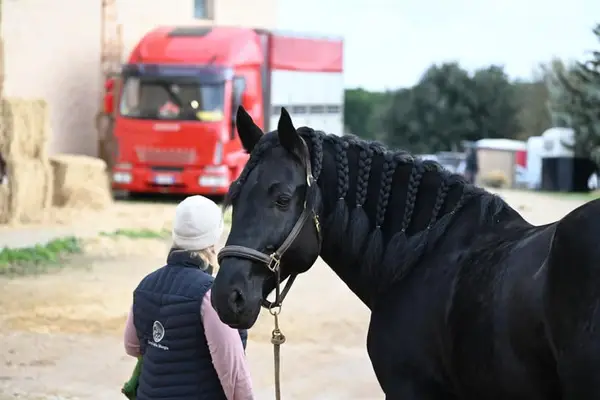 Intensivtage bei Josephine Cyr in Martina Franca - Italien
