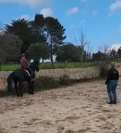 Intensivtage bei Josephine Cyr in Martina Franca - Italien