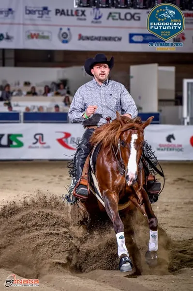 Western Beritt / Reining