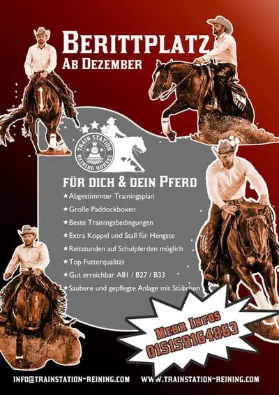 Western Beritt / Reining