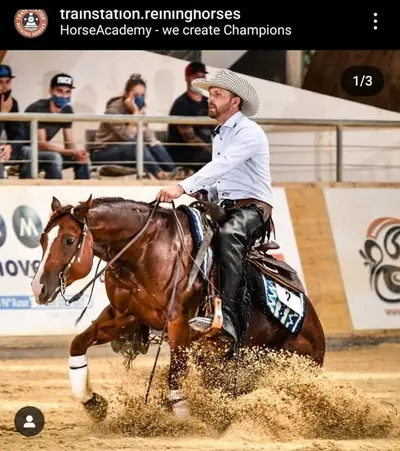 Western Beritt / Reining