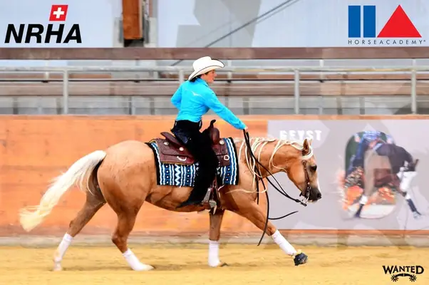 Western Beritt / Reining