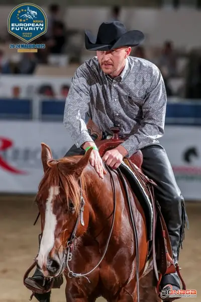 Western Beritt / Reining